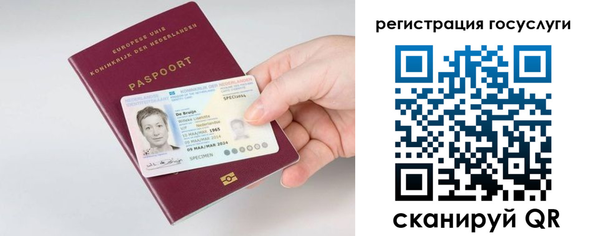 регистрация для дет. сада в Сафоново